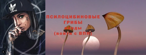 дживик Армянск