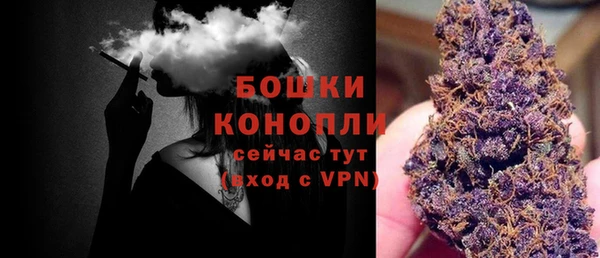 дурь Алзамай