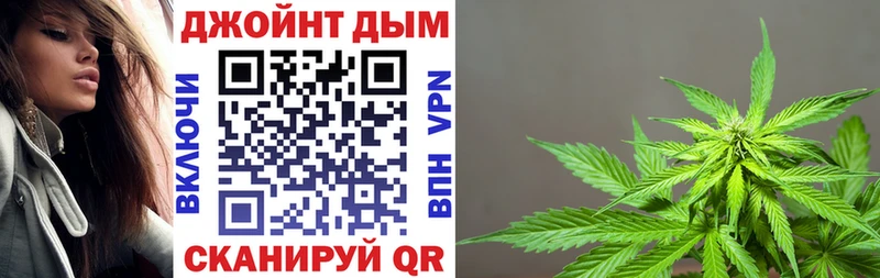 Конопля план  Ленинск 